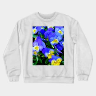 Pansies - Blue and Yellow Crewneck Sweatshirt